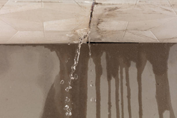 Professional Structural Drying technician working in Harrington Park, NJ